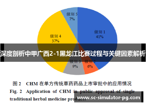 深度剖析中甲广西2-1黑龙江比赛过程与关键因素解析