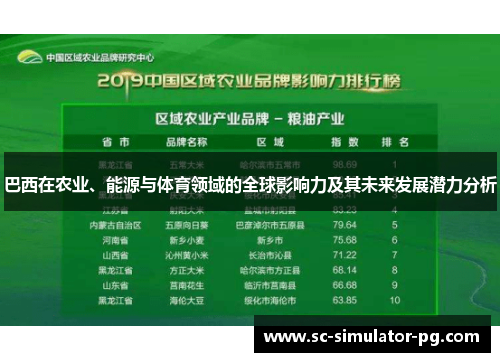 巴西在农业、能源与体育领域的全球影响力及其未来发展潜力分析