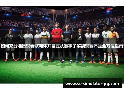 如何充分准备观看欧洲杯开幕式从赛事了解到观赛体验全方位指南