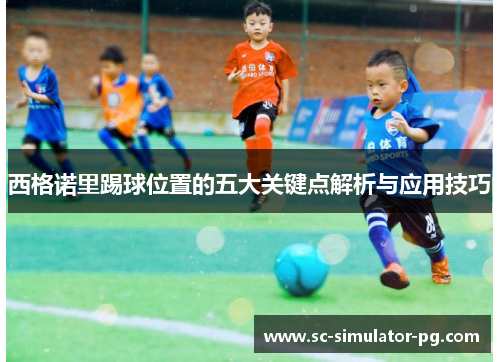 西格诺里踢球位置的五大关键点解析与应用技巧 西格诺里踢球位置的五大关键点解析与应用技巧
