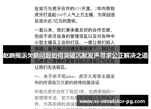 赵鹏揭露欠薪问题如何突破沉默发声寻求公正解决之道