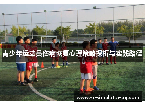青少年运动员伤病恢复心理策略探析与实践路径